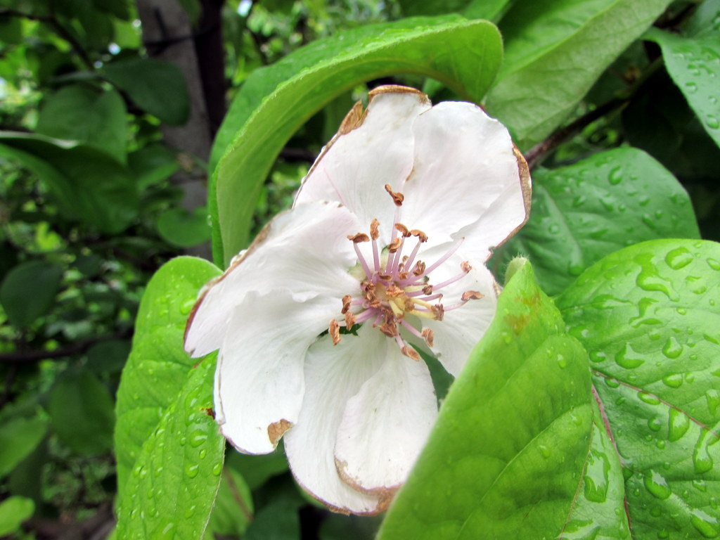 Frühlingsfahrt 2016