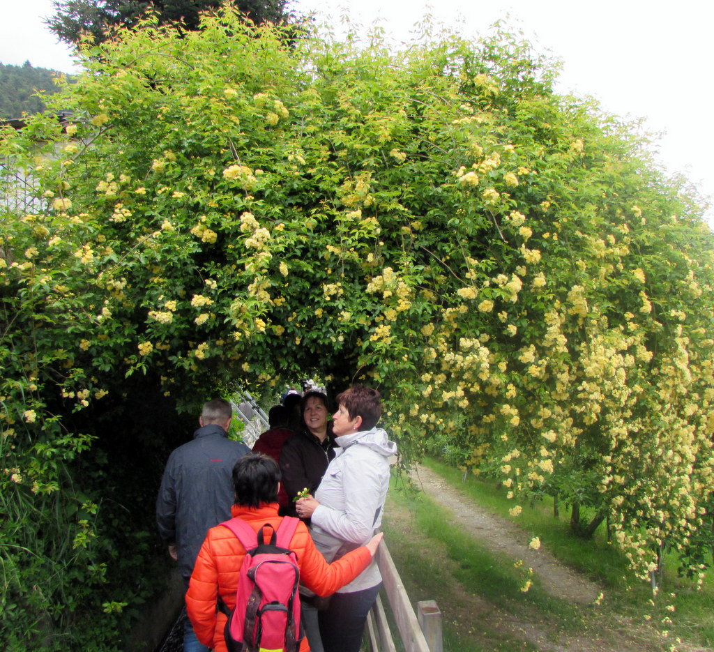 Frühlingsfahrt 2016