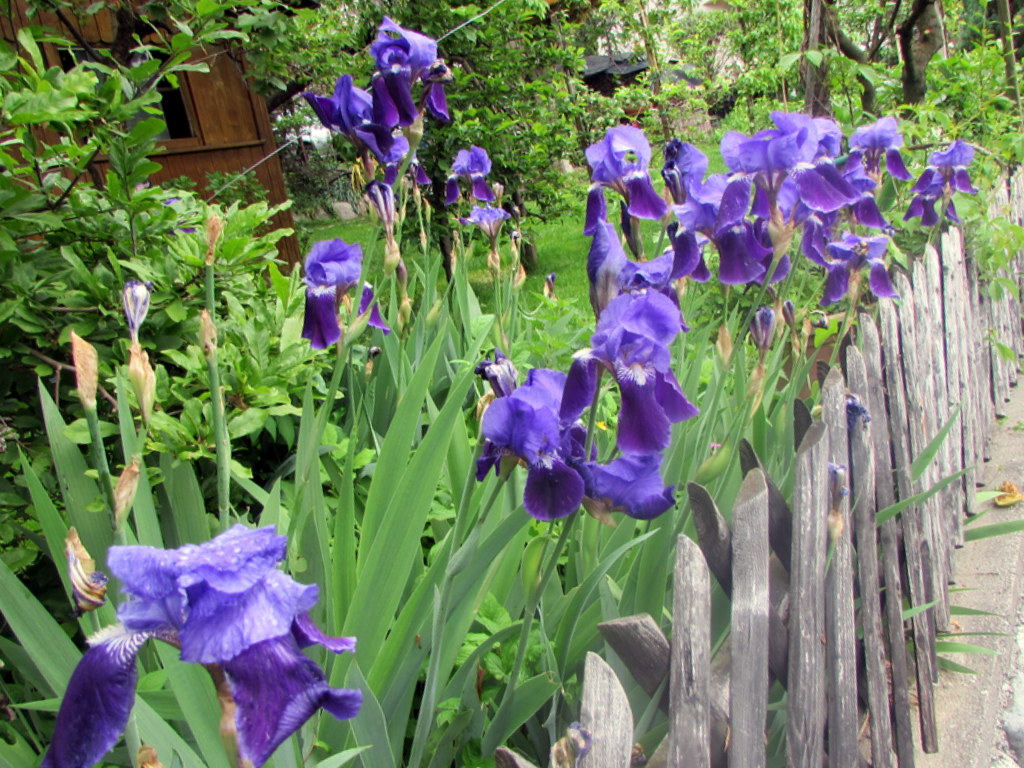 Frühlingsfahrt 2016