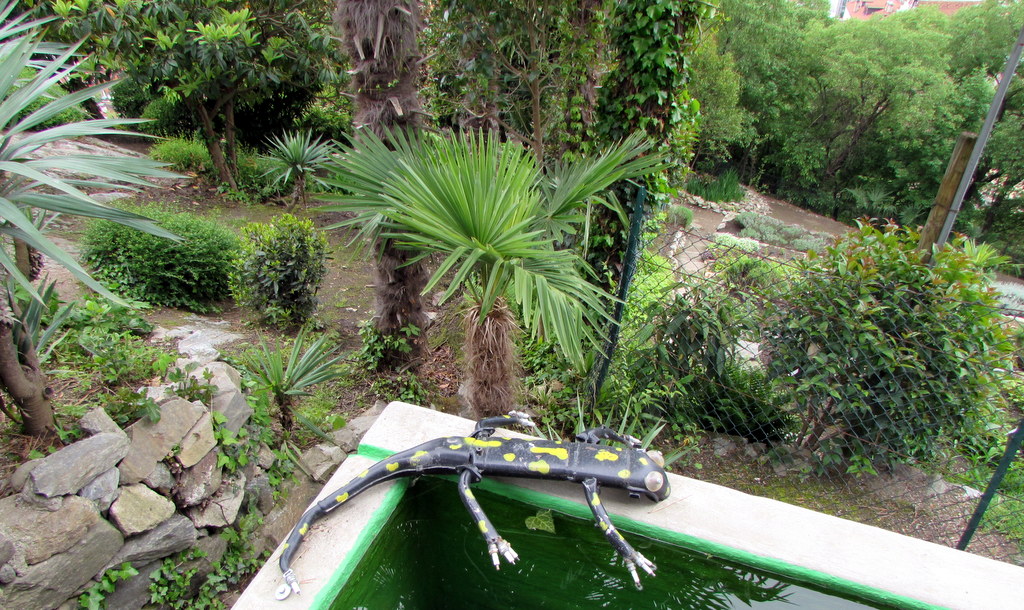 Frühlingsfahrt 2016