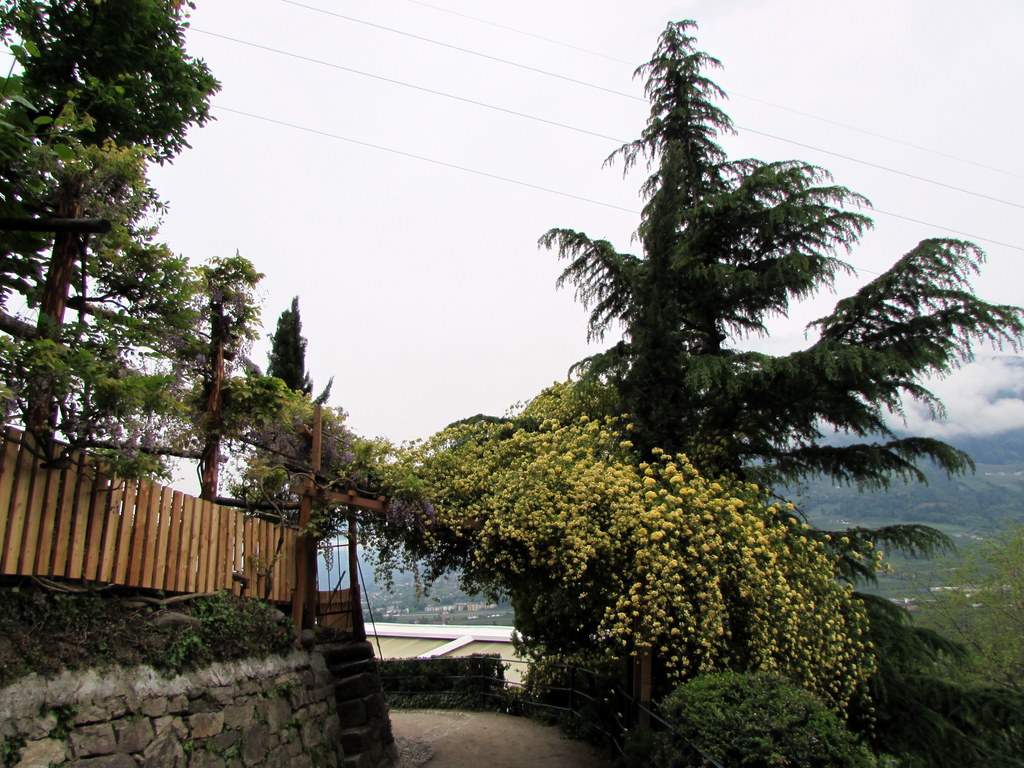 Frühlingsfahrt 2016