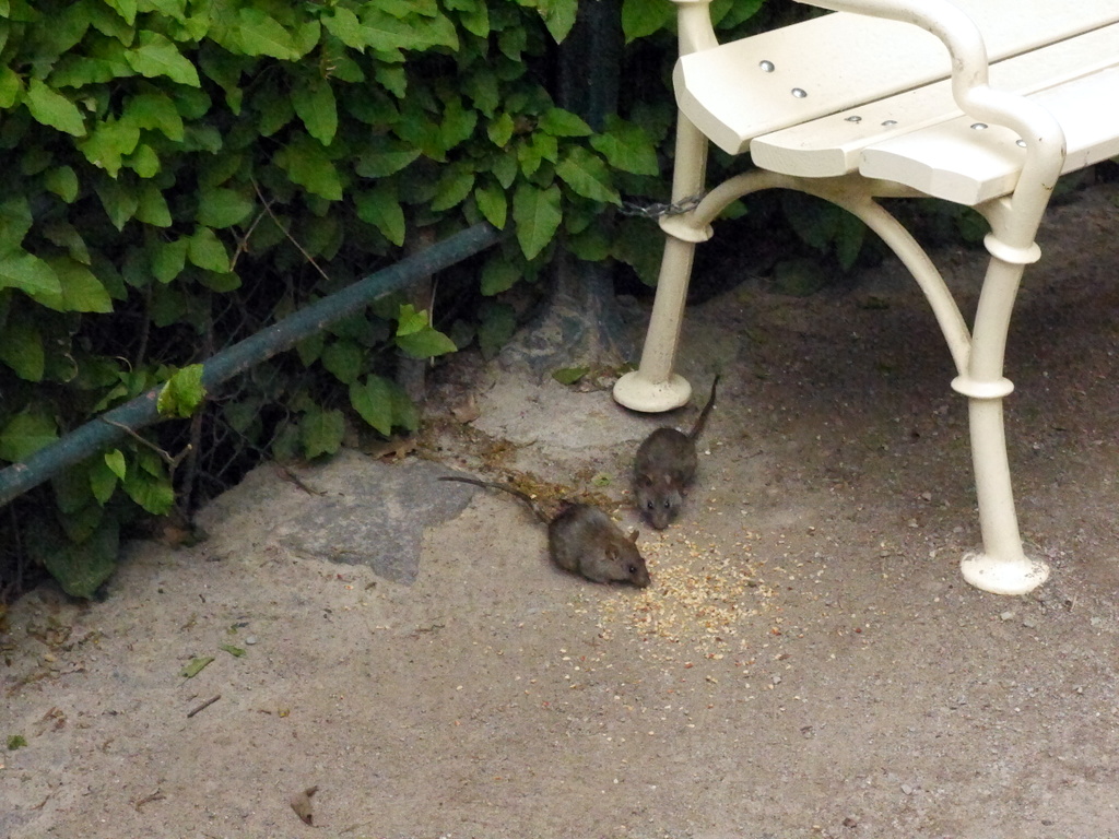 Frühlingsfahrt 2016