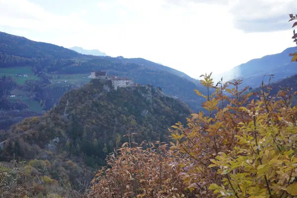 Bericht Törggelefahrt nach Südtirol Herbst 2025